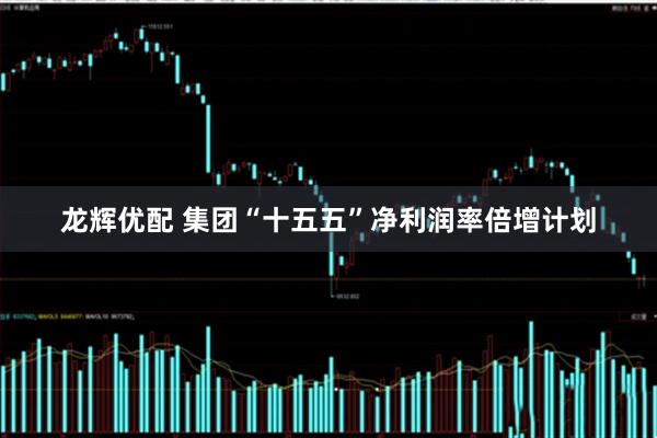 龙辉优配 集团“十五五”净利润率倍增计划