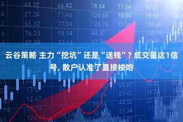 云谷策略 主力“挖坑”还是“送钱”? 成交量这1信号, 散户认准了直接梭哈
