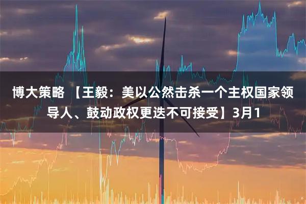博大策略 【王毅：美以公然击杀一个主权国家领导人、鼓动政权更迭不可接受】3月1