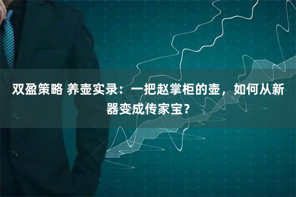 双盈策略 养壶实录：一把赵掌柜的壶，如何从新器变成传家宝？
