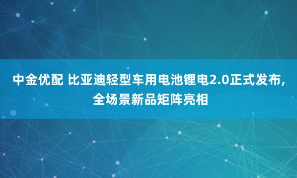 中金优配 比亚迪轻型车用电池锂电2.0正式发布, 全场景新品矩阵亮相