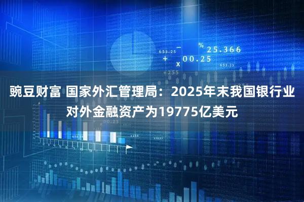 豌豆财富 国家外汇管理局：2025年末我国银行业对外金融资产为19775亿美元