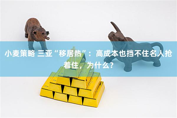 小麦策略 三亚“移居热”：高成本也挡不住名人抢着住，为什么？