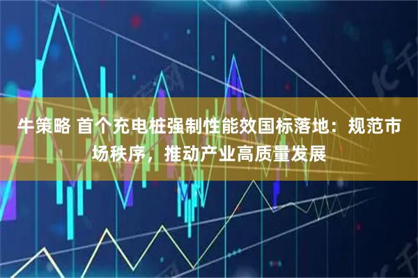 牛策略 首个充电桩强制性能效国标落地：规范市场秩序，推动产业高质量发展