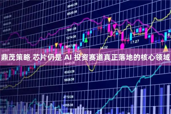 鼎茂策略 芯片仍是 AI 投资赛道真正落地的核心领域