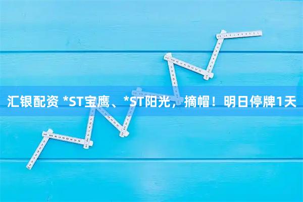 汇银配资 *ST宝鹰、*ST阳光，摘帽！明日停牌1天