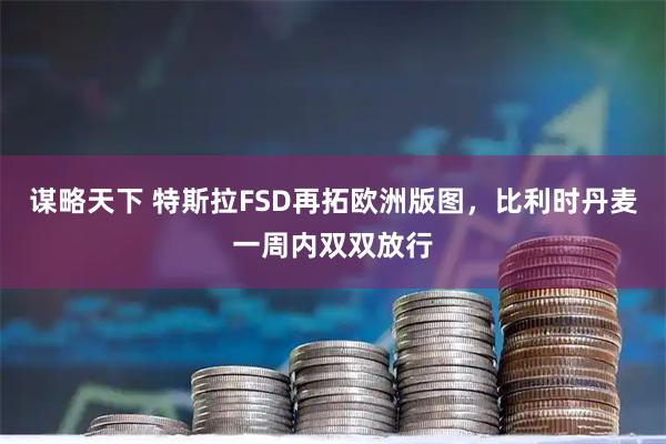 谋略天下 特斯拉FSD再拓欧洲版图，比利时丹麦一周内双双放行