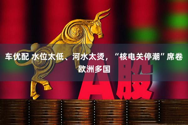 车优配 水位太低、河水太烫，“核电关停潮”席卷欧洲多国