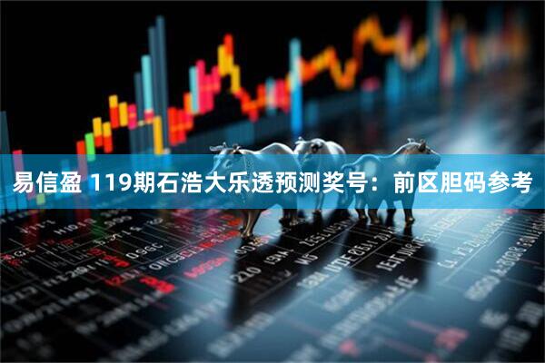易信盈 119期石浩大乐透预测奖号：前区胆码参考